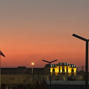 两天不导积积阳阳德