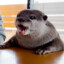 Hotter Otter