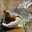 Croctail Crashout