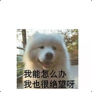 自闭玩家回忆录