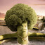 Broccoli Boss
