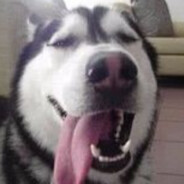 连晚安都是骗我的TVT