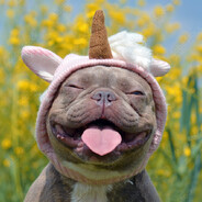 ciordesc negriiiiiiiiiiiiiiii