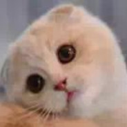 开心果园小时工