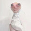 TubsonOficjalnie