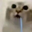 WhenThe