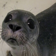Lonely Seal's avatar