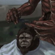 monkey haircut