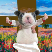$$DOG_GO_BELLY$$