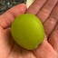 big ass grape