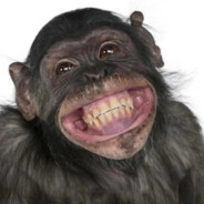 我是刚子你别狂.