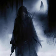 身如柳絮随风扬，无论云泥意贯一