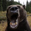 ЛЕДI БАК's avatar