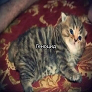 ПОВЕЛИТЕЛЬ Н@СВАЯ