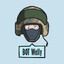 BOT Wally