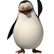 qq