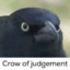 Crow of judgement
