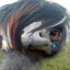 Emu Emo