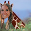 secgiraffe