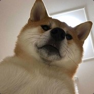 我会925°回旋踢