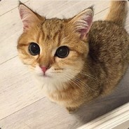 懒得烧死老麻蛇吃的菜