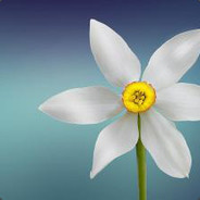 别显得只有你长嘴了