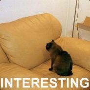 PwntFace | 43 <-- actual age