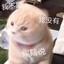 喵霸天