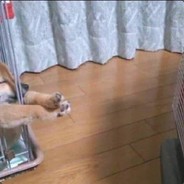 你有医保你带头