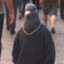 Sibøn