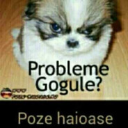 bubico - steam id 76561198286057484