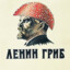 ленин гриб