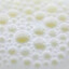 carbonated cum