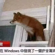 风扇叶子卡我头