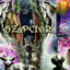 szypciorek