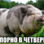 hterwwun