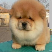 ▄︻┻┳═一---->鹏