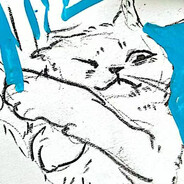 是门锁不是相机