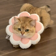 波子汽水多加冰