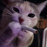 КМС ПО CПИРТУ