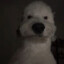lgnrboo