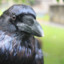 AlchemicRaven