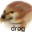 drog