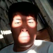 精灵副将马保国成