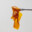 A Fat Dab