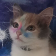 Аватар kittylover307