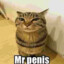 Mr.Penis