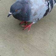 lil_jmoka@hotmail.com - steam id 76561197963261106