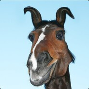 Alca! - steam id 76561198929357388
