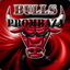 PromBaza Bulls